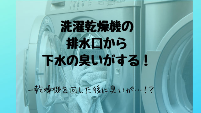 解決策 洗濯機乾燥機の排水口から下水の臭いがする ぐうたら主婦のブログ