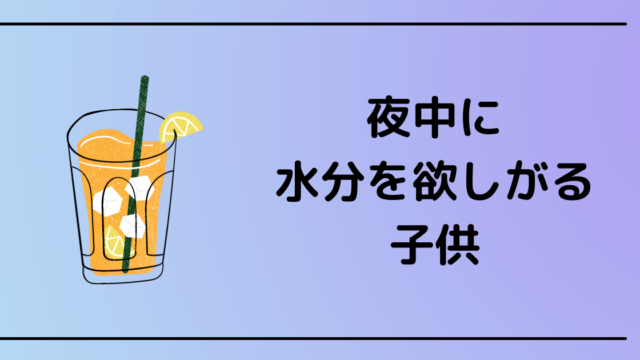 20インチ 低燃費 トーヨー 99W トーヨー 20インチ トランパスLu2 40 4